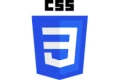 CSS Logo